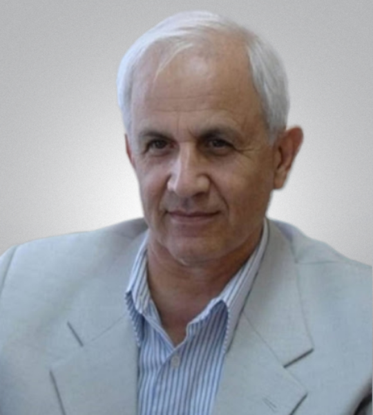 Ali N. Mashayekhi